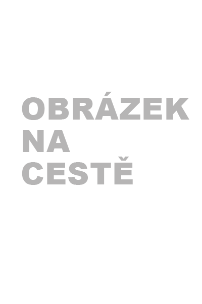 Přečtete si více ze článku Růžová vyztužená podprsenka Maia 4D